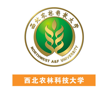 首页| 尊龙(中国集团)官方网站